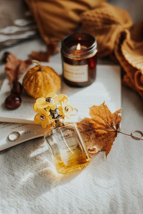 Photography of Fall Trees · Free Stock Photo Marc Jacobs Daisy Perfume, Daisy Perfume, Unisex Perfume, Perfume Gift, Dry Leaf, Luxury Fragrance, Luxury Perfume, Caramel Color, Glass Perfume Bottle