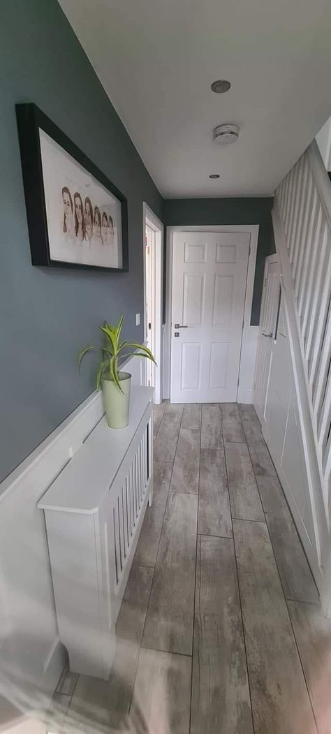 Blue And Grey Hallway, Hallway And Landing Paint Ideas, Hallways Colour Ideas, Grey Flooring Hallway, 2 Tone Wall Paint Ideas Hallway, Grey Floor Hallway, Hallway Grey Floor, 2 Tone Hallway Paint Colors, Hallway Colours 2024