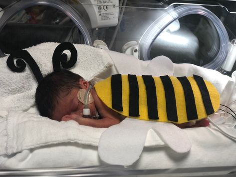 Neonatal Babies at Hutzel Women's Hospital Dressed Up for Halloween Preemie Halloween Costumes, Costumes For Babies, Preemie Mom, Neonatal Intensive Care Unit, Girl Scout Leader, Halloween Traditions, Baby Inspiration, Felt Halloween, Nicu Nurse