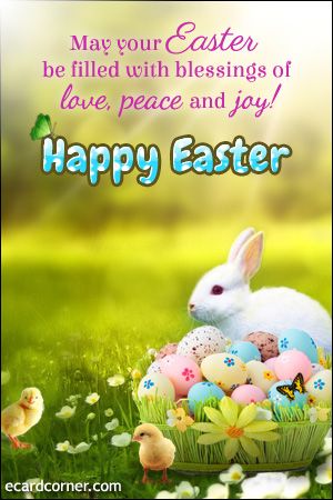 happy easter Happy Easter Pictures Inspiration, Funny Easter Pictures, Easter Wishes Messages, Funny Easter Cards, Happy Easter Messages, Easter Bunny Cards, Happy Easter Pictures, Happy Easter Quotes, Happy Easter Sunday