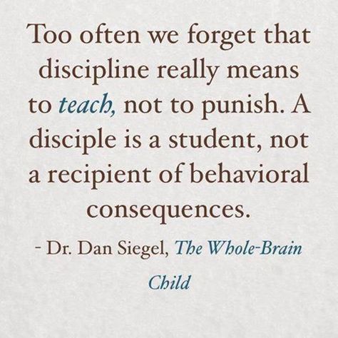 Dan Siegel, Whole Brain Child, Discipline Quotes, Parenting Videos, Peaceful Parenting, Parenting Skills, Gentle Parenting, Memes Humor, Co Parenting