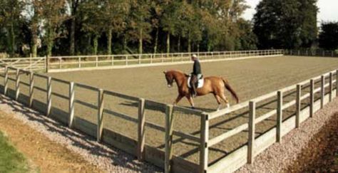 Equestrian Arena, Horse Riding Arena, Dressage Arena, Horse Farm Ideas, Riding Arena, Horse Arena, Dream Horse Barns, Horse Facility, Riding Arenas