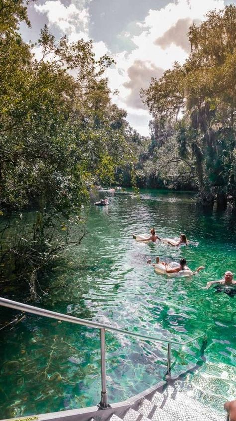 Anastasia State Park Florida, Florida Springs Aesthetic, Natural Springs In Florida, Beaches Near Orlando, Springs In Florida, Rainbow Springs State Park, Estero Florida, Florida Vibes, Orlando Florida Vacation