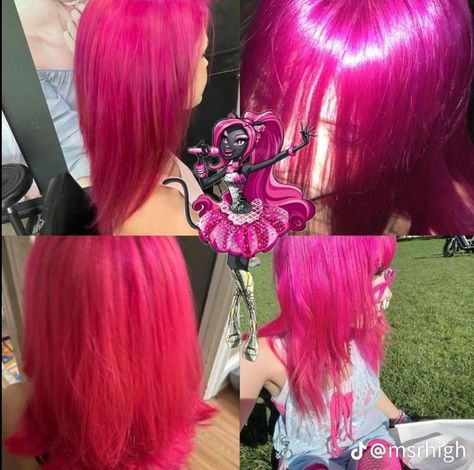 Monster high pink hair idea Monster High Hair Inspiration, Monster High Hair, Monster High Pink, Dye Inspiration, Skunk Hair, Dying My Hair, High Hair, Hair Streaks, Dyed Hair Inspiration