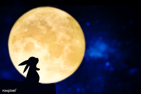 Easter Bunny Silhouette, Disney Characters Pictures, Sheep Silhouette, Ghost Silhouette, About Moon, Moon Rabbit, Happy Mid Autumn Festival, Witch Silhouette, Rabbit Crafts