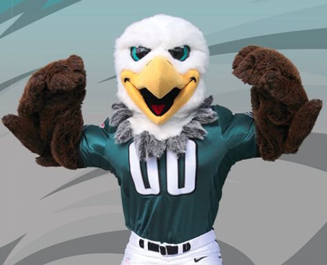 Philadelphia Eagles Mascot Eagles Mascot, Eagle Mascot, Get In The Mood, Eagles Fans, Team Mascots, Great Team, Philadelphia Eagles, Nfl Teams, Anniversary Sale