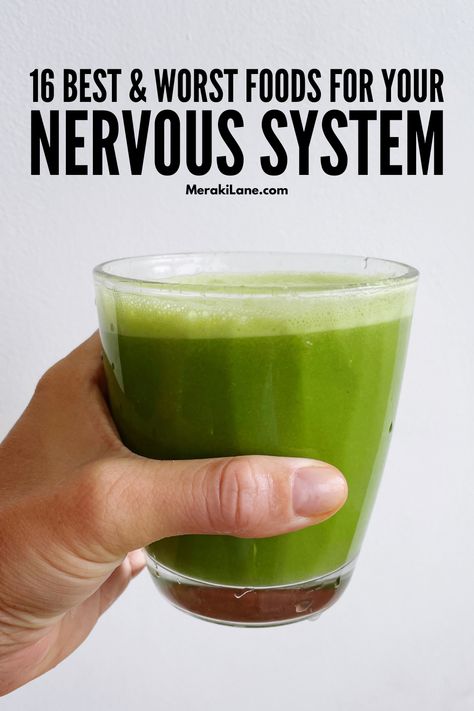 16 Best and Worst Foods for Your Nervous System Healthy Food For Nerves, Foods To Support Nervous System, How To Calm Your Nervous System, Somatic Stretching, Nerve Regeneration, Summer Reset, Calming Food, Sickness Remedies, Living With Chronic Pain