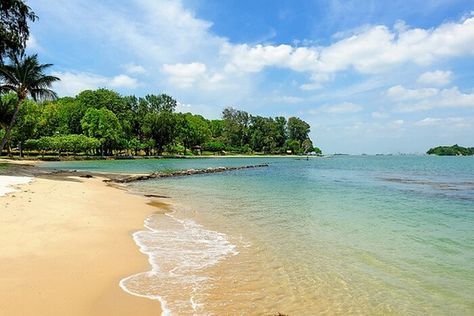 9 best beaches in Singapore The picturesque beauty of Lazarus Island which houses many unexplored beaches in Singapore Singapore Beach, Singapore Attractions, Singapore Island, East Coast Beaches, Beach Destinations, Mangrove Forest, Singapore Travel, Gardens By The Bay, Palawan