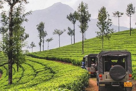 5 Days Kerala Private Tour Package with Houseboat stay provided by Saffron India Tours | Kochi (Cochin), Ernakulam District - TripAdvisor Munnar Photography Kerala, Kerala Images, Rare Species Of Animals, Kerala Backwaters, Jeep Photos, Morning Msg, Amazing India, Hills Resort, Munnar