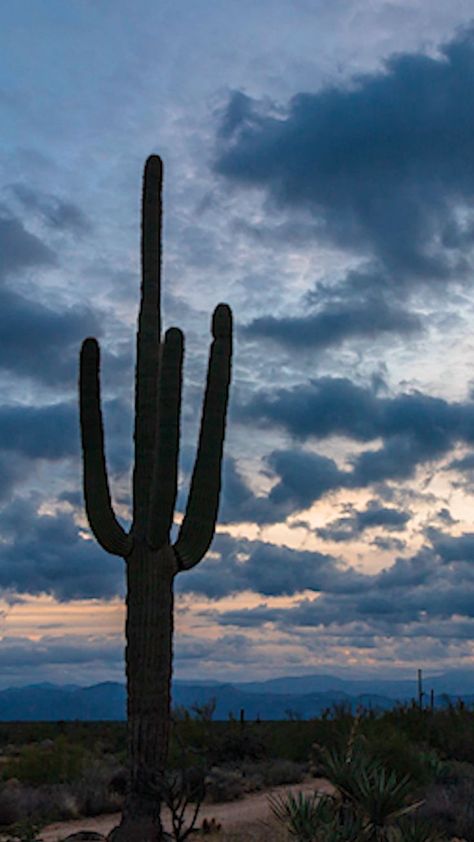 Morning Sky Photography, Arizona City, Arizona Landscape, Landscape Images, Morning Vibes, Arizona Desert, Morning Sky, Desert Sunset, Time Lapse Video