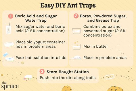 Ant Trap Diy, Ant Trail, Sugar Animal, Sugar Ants, Ants In House, Ant Control, Rid Of Ants, Boric Acid, Garden Pest Control