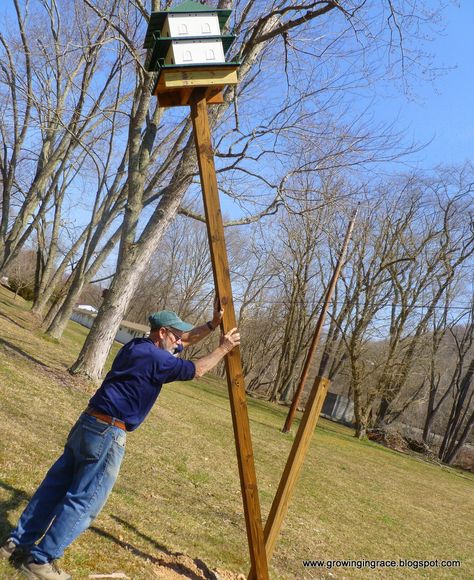 Purple martin house plans