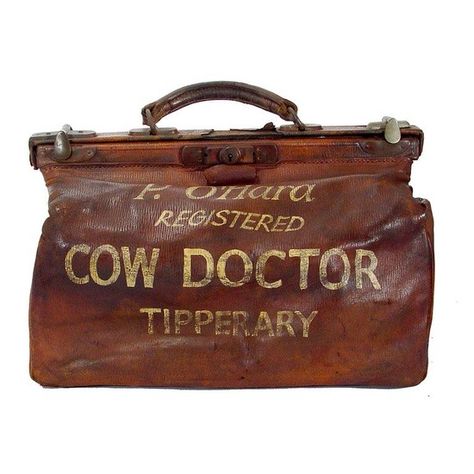 Cow Doctor Leather Bag Doctors Bag, Vintage Luggage, Doctor Bag, Vintage Bag, Chanel Deauville Tote Bag, Look Vintage, Vintage Bags, Glee, Fun Bags