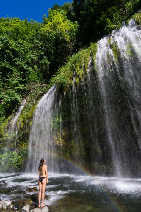 Mossbrae Falls Hike — Shasta Cascade region, CA — Backcountrycow | Backpacking and Outdoor Travel Mossbrae Falls, California Waterfalls, California Getaways, Cali Trip, Camera Ideas, The Crown Jewels, Mt Shasta, California Hikes, California Camping