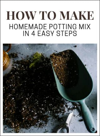 Soil Recipe, Diy Fertilizer, Peat Soil, Seed Raising, Growing Microgreens, Top Soil, Free Plants, Organic Seeds, Garden Soil