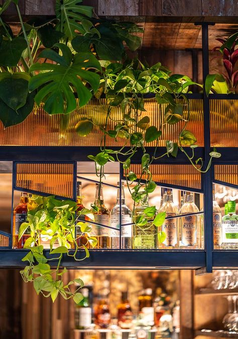 Bar With Plants, Tropical Bar Design, Plant Bar, Tropical Bar, Custom Light Fixtures, Indoor Bar, Downtown Manhattan, Downtown New York, Restaurant Concept