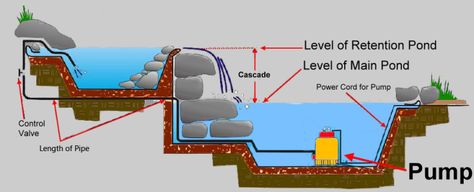 Retention Pond, Kolam Koi, Building A Pond, Natural Swimming Ponds, Backyard Pond, Diy Pond, Garden Waterfall, Pond Waterfall, Pond Pumps