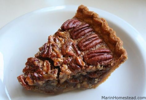 Award Winning Desserts, Award Winning Pies, Best Pecan Pie Recipe, Maple Pecan Pie, Best Pecan Pie, Thanksgiving Treats, Pecan Pie Recipe, Marin County, Pecan Pie