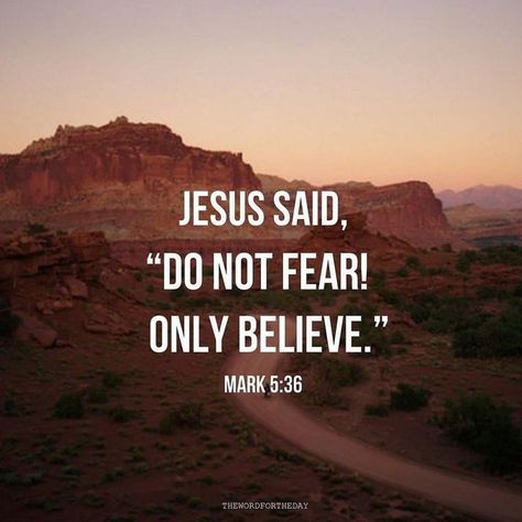 Mark 5:36, Do Not Fear Only Believe, Fear Not, Word For The Day, Mark 5, Jesus Said, Ayat Alkitab, About Jesus, Bible Verses Quotes Inspirational