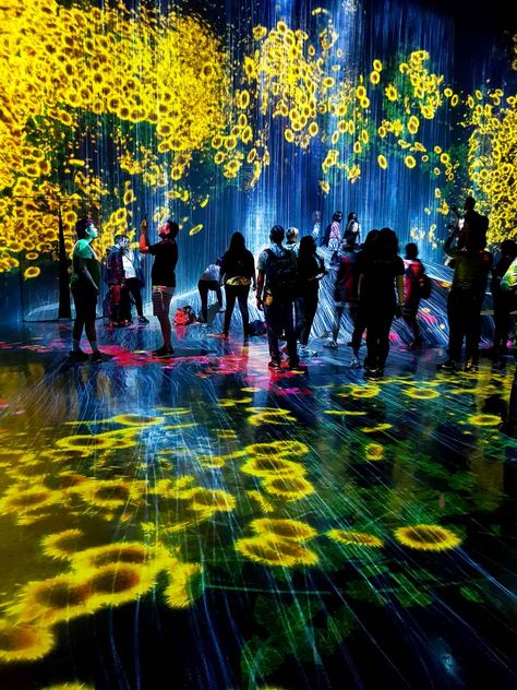 Teamlab Borderless, Escaping Reality, Roppongi, Open Art, Odaiba, Travel Articles, Art Installation, Food Tours, Shopping Center