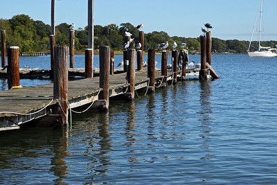 Where to Live in Southern Maryland Suburban Town, Chesapeake Beach, Where To Live, Southern Maryland, Golden Beach, Luxury Estate, Living In La, Waterfront Property, Place To Live