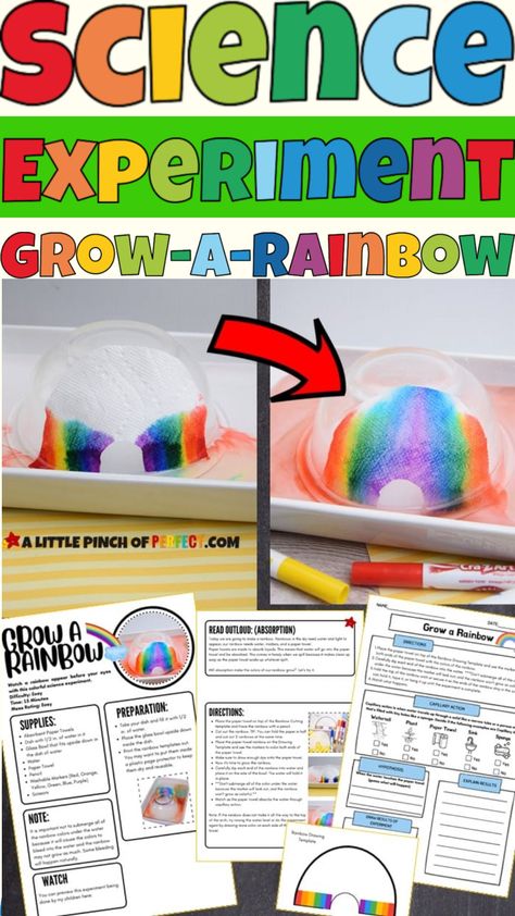 The GROW-A-RAINBOW SCIENCE Experiment Activity Pack is set up so all you have to do is print the activity pack, gather the supplies and do the experiment. It keeps things easy for you and fun for your kids as they learn about absorption and capillary action. The LEARNING WORKSHEETS come in level 1 and level 2 for you to choose the best fit for your classroom. This also works great for a homeschool or classroom with multi-ages while performing the same science experiment. Paper Towel Experiment, Rainbow Stem, Grow A Rainbow, Kids Science Experiment, Rainbow Science, Rainbow Experiment, Homeschool Science Experiments, Capillary Action, Rainbow Activities