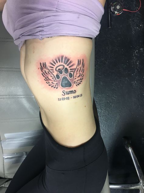 All Dogs Go To Heaven Tattoo, Rip Dog Tattoos, Dog Tattoo Ideas Memorial, Tattoo Ideas Memorial, Rip Dog, Rip Tattoo, Dog Tattoo Ideas, Heaven Tattoos, Wing Tattoo