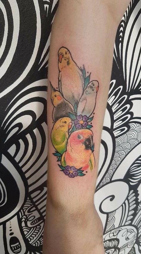 Pet bird tattoo Pet Bird Tattoo Ideas, Cockatiel Tattoo Design, Conure Tattoo, Budgie Tattoo, Cockatiel Tattoo, Parakeet Tattoo, Parakeet Tattoo Black And White, Conure Bird, Bird Tattoo