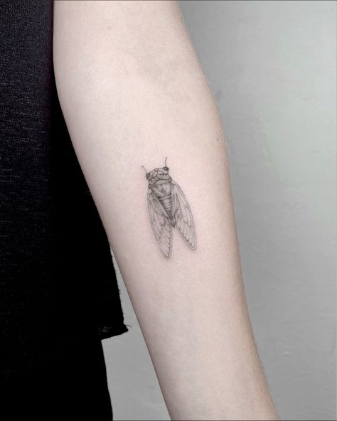 Small Cicada Tattoo, Simple Cicada Tattoo, Cicada Tattoo Design, Florence Tattoo, Cicada Tattoo, Brothers Tattoo, Botanical Tattoos, Ab Tattoo, Henna Inspiration