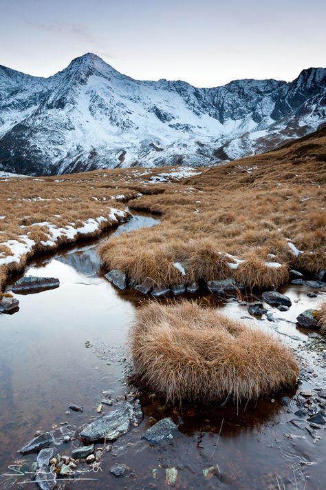 Tundra Photography, Siberian Landscape, Tundra Aesthetic, Artic Tundra, Tundra Landscape, Tundra Biome, Arctic Tundra, Backyard Lighting, Elsword