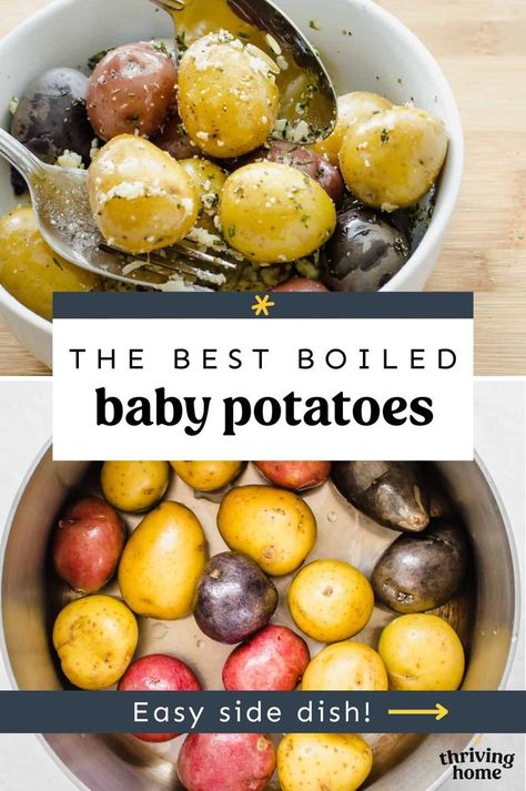 Boiled Baby Potatoes Boiled Mini Potatoes, Boiled Baby Potato Recipes, Baby Potato Recipe, Boiled Red Potato Recipes, Baby Red Potato Recipes, Boiled Potato Recipes, Baby Potatoes Recipes, Boiled Red Potatoes, Boiled Baby Potatoes