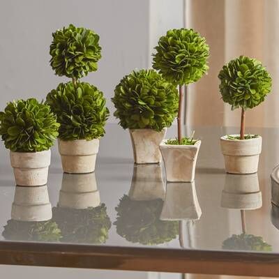 Latitude Run® Boxwood Hedge | Wayfair Preserved Boxwood Topiary, Boxwood Tree, Boxwood Plant, Boxwood Balls, Preserved Boxwood, Topiary Plants, Hydrangea Centerpiece, Boxwood Topiary, Floor Plants