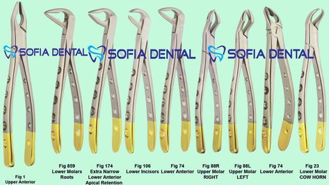 dental hygienist dental extraction forceps Dental Instruments Names, Dental Tools Names, Dental Assistant Study Guide, Dental Notes, Animal Backgrounds, Registered Dental Assistant, Dental Assistant School, Dental Assistant Study, Medical Items