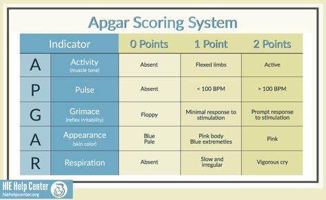 The APGAR test is a test administered to all babies when they are born. It evaluates the baby’s general health by looking at five key parameters and helps determine if injuries such as HIE are present.   To learn more, visit: https://hiehelpcenter.org/medical/identifying-hie/tests-evaluations-screening/ Virginia Apgar, Apgar Score, Birth Control Methods, Umbilical Cord, Neonatal Intensive Care Unit, Medical Tests, Study Smarter, Nursing Tips, Premature Baby