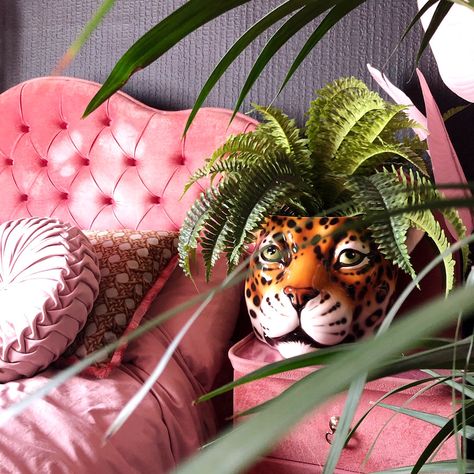 Dogwood Lifestyle sells luxury vintage interior homeware, ceramic leopard statues, tiger statues, panther statues handmade in Italy. Pink leopard statues as seen on Ted Lasso Large House Plants, Vintage Pop Art, Large House, Tiger Design, Traditional Ceramics, Pop Art Print, Pink Ceramic, Italian Ceramics, Vintage Interiors