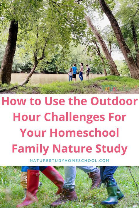 Nature Study For Preschoolers, Preschool Nature Study, Homeschool Nature Table, Homeschool Nature Study Free Printables, Family Nature, Homeschool Nature Study, Homeschool Teacher, Homeschool Preschool Activities, Get Outdoors