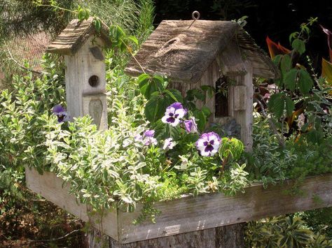 From Flea Market Gardening on FB.  Joy placed a wooden platform planted with flowers on this stump and set a couple very cute and rustic birdhouses on top. Tree Stump Garden, Stump Garden, Tree Stump Ideas, Stump Ideas, Rustic Birdhouses, Flea Market Gardening, Birdhouses Rustic, Birdhouse Designs, Unique Gardens