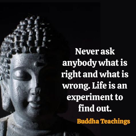 Famous Buddha Quotes, Quotes Buddha, Buddism Quotes, Never Expect Anything, Buddha Thoughts, Keanu Reeves Quotes, Beautiful Good Night Quotes, Buddha Artwork, Buddhism Quotes