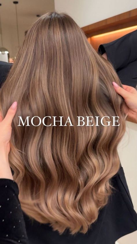 Natural Beige Hair Color, Tone Down Hair Color, Long Hair Colors Ideas, Cool Mocha Hair, Cool Beige Hair, Dark Blonde Beige Hair, Cute Natural Hair Color Ideas, Hair Color For Dark Blonde Hair, Brown Beige Hair Color