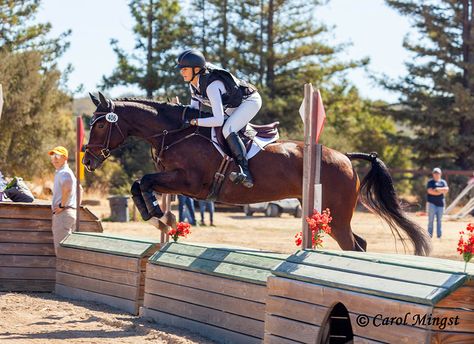 Spotted by George Morris: The rare PERFECT position! George Morris, Trail Riding Horses, Equestrian Problems, Eventing Horses, Horse Training Tips, English Riding, Hunter Jumper, Dressage Horses, Horse Trailers