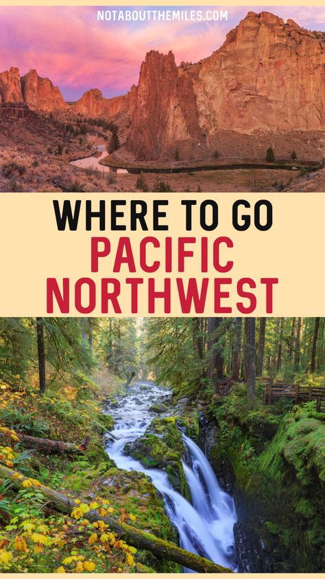 Discover the best places to visit in the Pacific Northwest states of Oregon and Washington! National parks, vibrant cities, scenic drives and more. best places to go in the Pacific Northwest | most beautiful places in the Pacific Northwest | Pacific Northwest places to visit | PNW bucket list | travel destinations in the Pacific NW | PNW travel guide | best places to visit in the PNW | best places to visit in the PNW | Oregon waterfalls | Washington national parks | things to do in the PNW Pnw Travel Bucket Lists, Pacific Northwest Camping, Washington National Parks, Northwest Pacific, Bucket List Travel Destinations, Pnw Travel, Pnw Oregon, Usa Travel Map, Pacific Northwest Travel