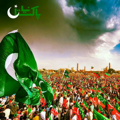 #Naya #Pakistan Pti Flag Background, Pti Logo, Pti Flag Wallpaper, Flag Hd Wallpaper, Independence Day Images Hd, Pti Flag, Flag Pic, Imran Khan Pics For Dp, Green Wallpaper Phone