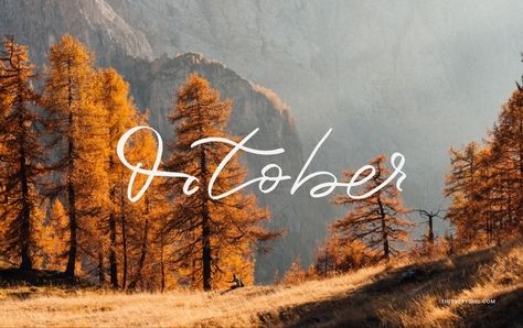 October Background, October Wallpaper, Creepy Decor, Tech Background, The Everygirl, Fall Festival, Girl Falling, Cozy Fall, Put Together