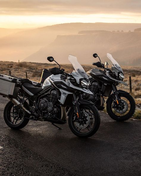 Triumph Motorcycles di Instagram "Inspired by epic adventures, the Tiger 1200 Alpine and Desert are designed to go anywhere. Where will you take yours? #ForTheRide…" Triumph 1200, Triumph Motorbikes, Tiger 1200, Cute Living Room, Motor Cycles, Pretty Bike, Triumph Tiger, Adventure Motorcycling, Triumph Motorcycles