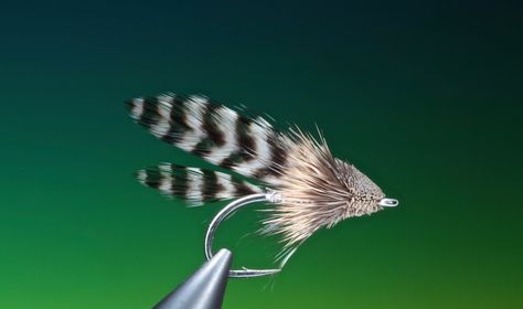 Fly fishing Streamers Muddler Minnow, Fly Tying Vises, Fly Tying Tools, Trout Flies, Fishing Sunglasses, Fly Tying Materials, Fly Fishing Gear, Fly Fishing Flies Trout, Fly Patterns