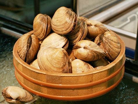 What's the Difference? Little Neck, Cherry Stone, Top Neck, and Quahog Clams How To Clean Clams, Steamed Clams, Cooking Dried Beans, Cooking Bread, Clam Recipes, Dried Beans, Stuffed Shells, Eating Raw, Stone Top