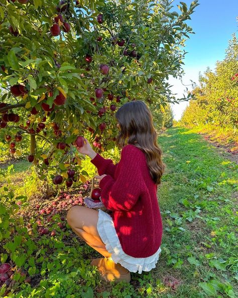 Jadyn Harger | the apple to my pie🍎🧺🍁🤎 #fallaesthetic #fallvibes #falloutfit #falloutfits #fallfashion #fallseason #fallstyle #applepicking #appleorchard | Instagram Fall Pictures Ideas For Instagram, Fall Pics To Recreate, Fall Pic Inspo Instagram, Winter Photo Ideas Instagram, Apple Picking Aesthetic, Orchard Pictures, Apple Orchard Pictures, Fall Autumn Aesthetic, Nature Outfits