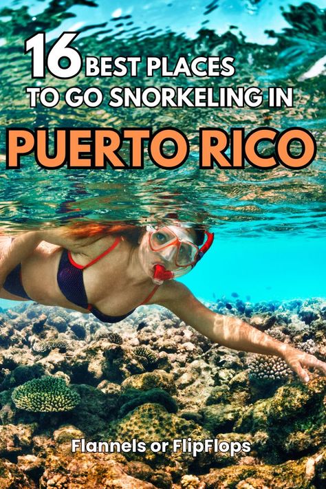 A woman snorkeling in Puerto Rico. Snorkeling In Puerto Rico, Guanica Puerto Rico, Puerto Rico Snorkeling, Humacao Puerto Rico, Prettiest Beach, Underwater Beauty, Puerto Rico Trip, Top Cruise, Latin America Travel