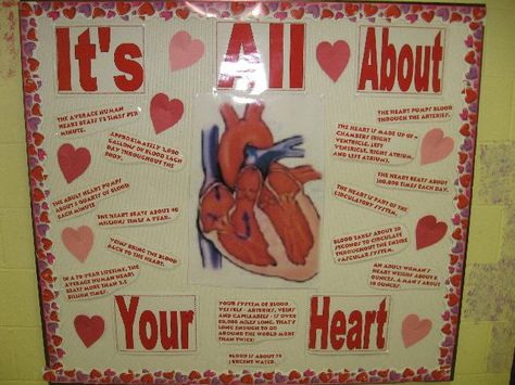 It's All About Your Heart (Valentine's D Image Cardiac Bulletin Board Ideas, Heart Month Bulletin Board, Health Bulletin Board Ideas, Health Science Classroom, Nutrition Bulletin Boards, Physical Education Bulletin Boards, Pe Bulletin Boards, Anatomy Teacher, Cardiac Rehab