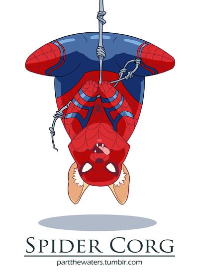 / Part the Waters Corgi Meme, Corgi Doodle, Corgi Quotes, Funny Spider, Spider Dog, Corgi Drawing, Chibi Marvel, Baby Avengers, Avengers Series